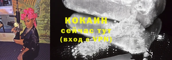 spice Алзамай