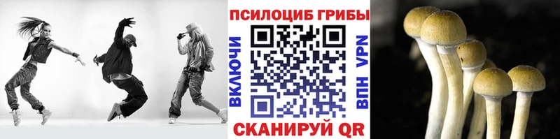 как найти Карасук Псилоцибиновые грибы мухоморы